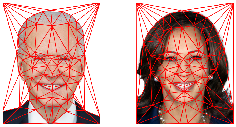 Keypoints and triangulation