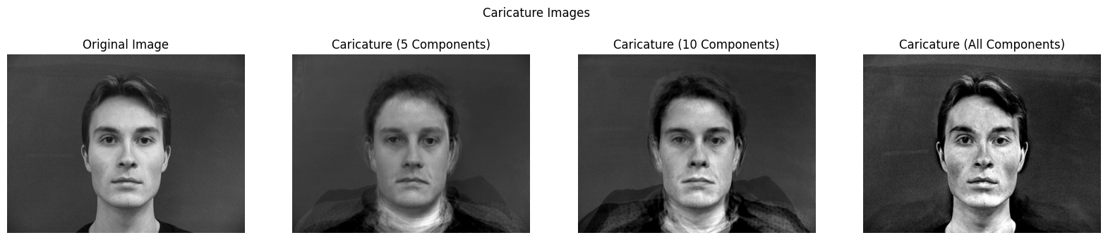 Caricatures with amplified principal components