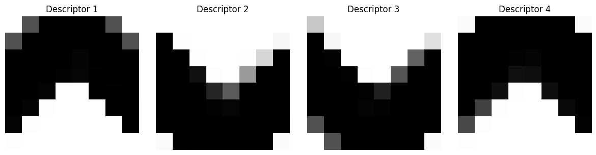 Rotation-Invariant Descriptors