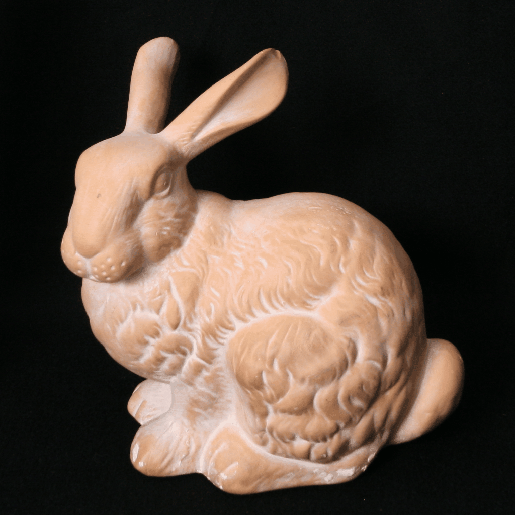 Aperture Adjustment Bunny