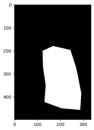 Poisson Blending Mask